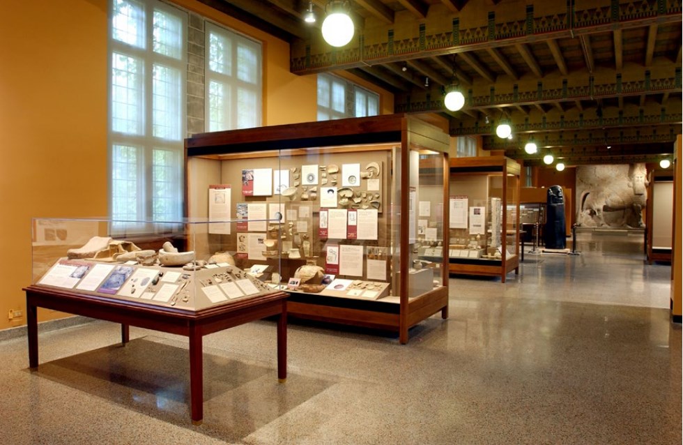 龙8头号玩家(国际)官方网站