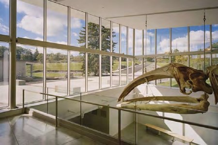 龙8头号玩家(国际)官方网站